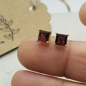 14k Gold Earings with beautiful Garnets!
